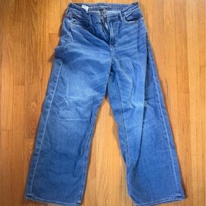 American Eagle Outfitters Relaxed Fit Blue Jeans